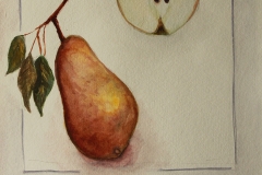 Pear Stydy