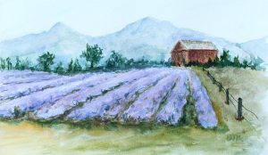 Lavender watercolor