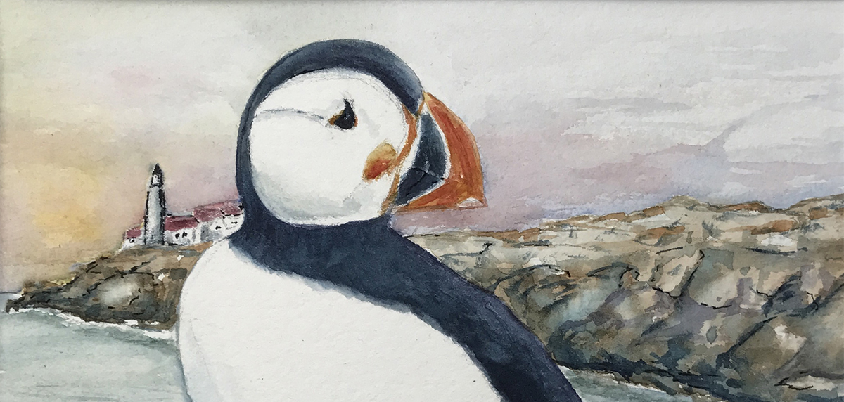 watercolor puffin